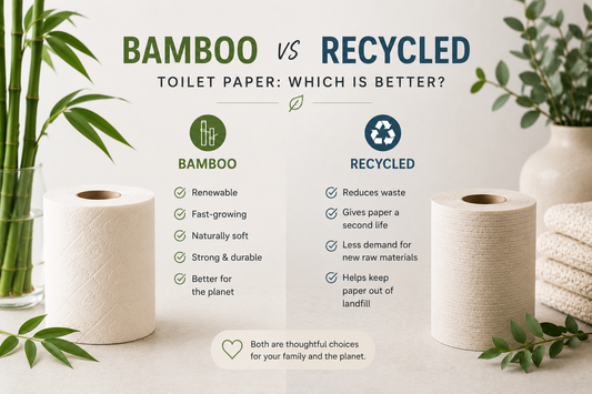 Bamboo vs Recycled Toilet Paper: Which Is Better?